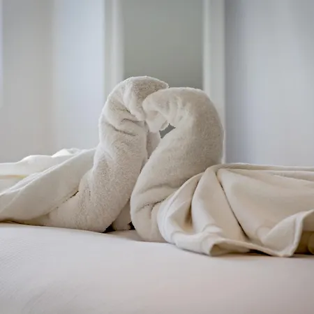 L'apparte Un F2 Cosy Et Moderne Refait A Neuf Apartment *